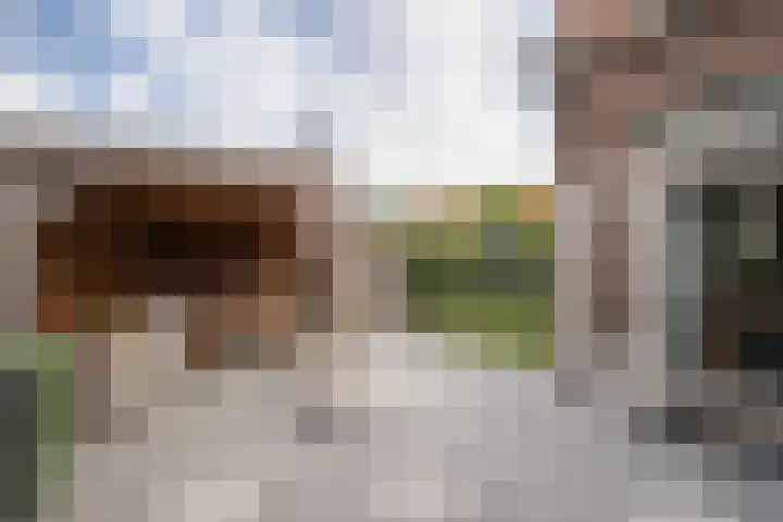 Rozenlaan 73 Vlaardingen thumbnail 12