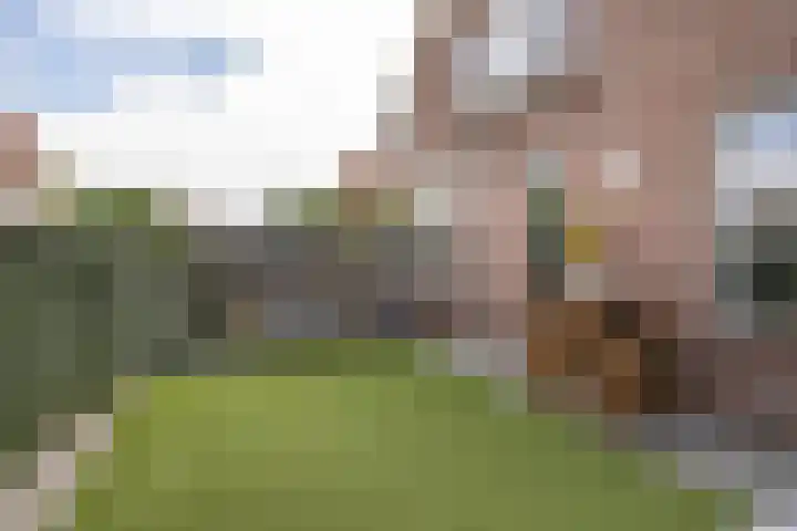 Rozenlaan 73 Vlaardingen thumbnail 15