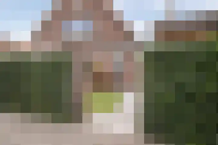 Rozenlaan 73 Vlaardingen thumbnail 34