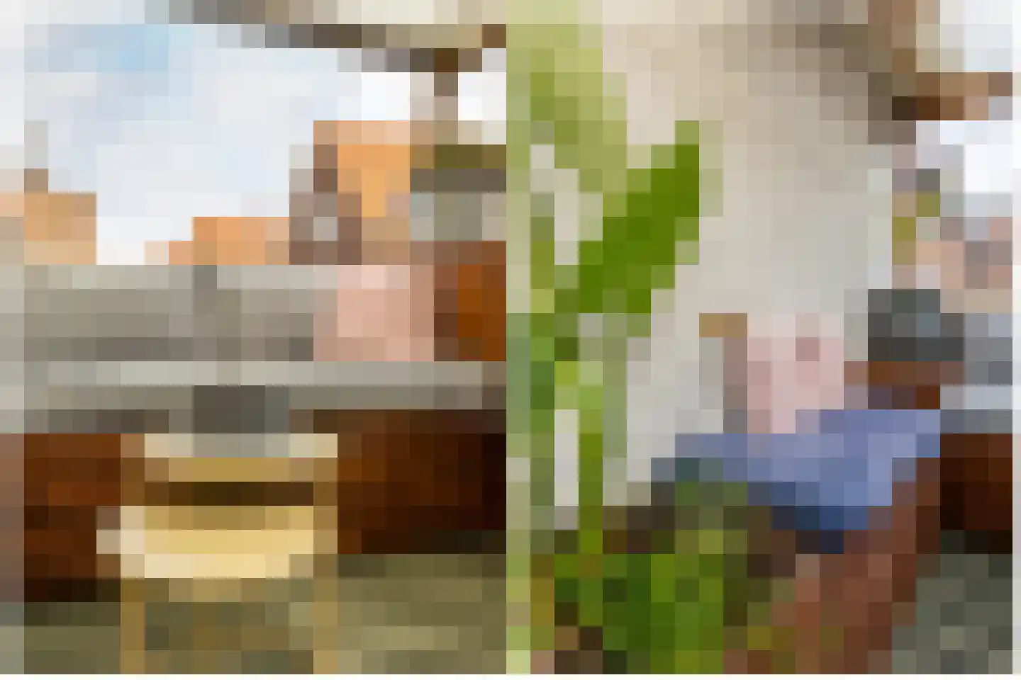 Rozenlaan 77 B Rotterdam thumbnail 24
