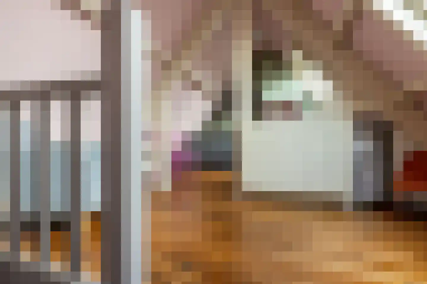 Rozenlaan 77 B Rotterdam thumbnail 37