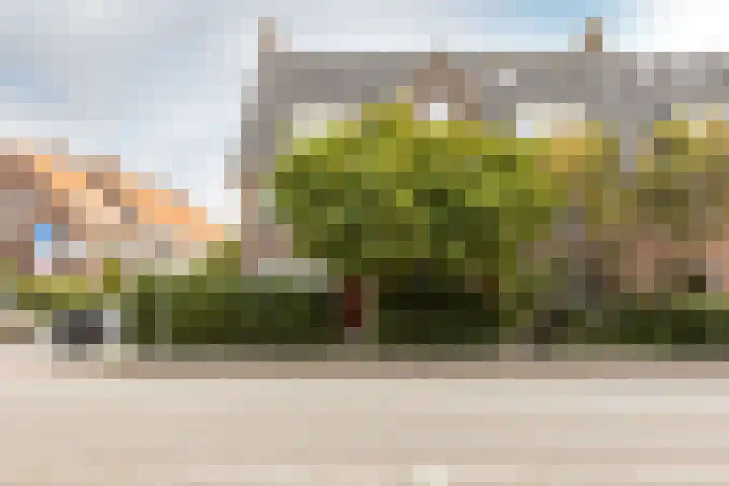 Rozenlaan 77 B Rotterdam thumbnail 41