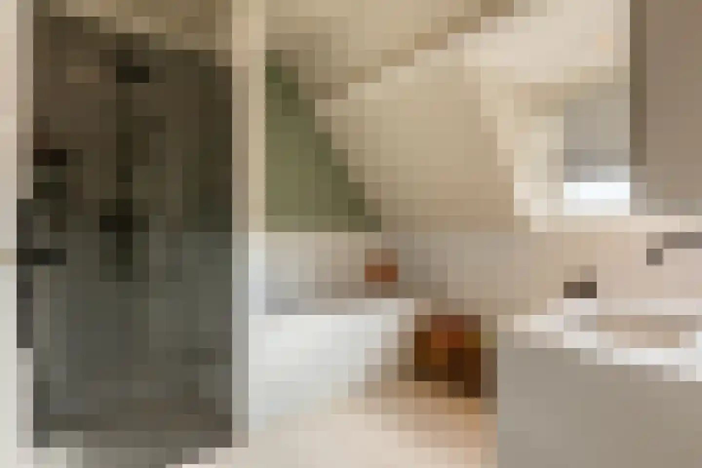 Rozenlaan 77 B Rotterdam thumbnail 6