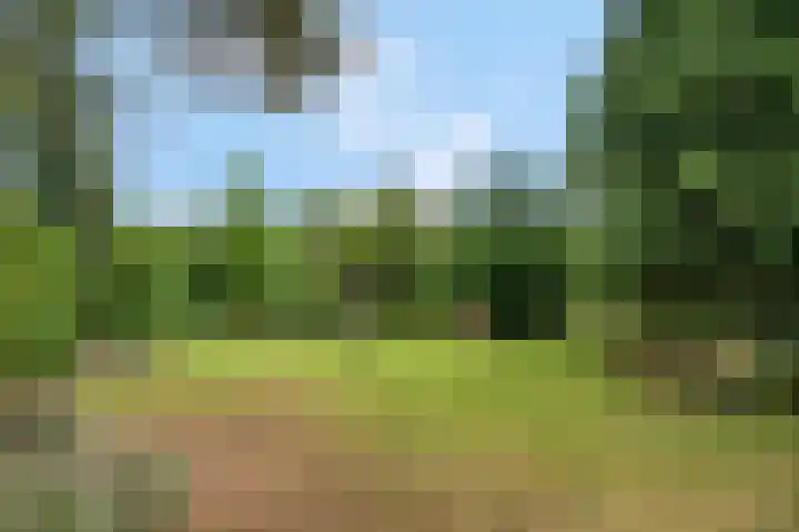 Rozenlaan 79 Rhenen thumbnail 28