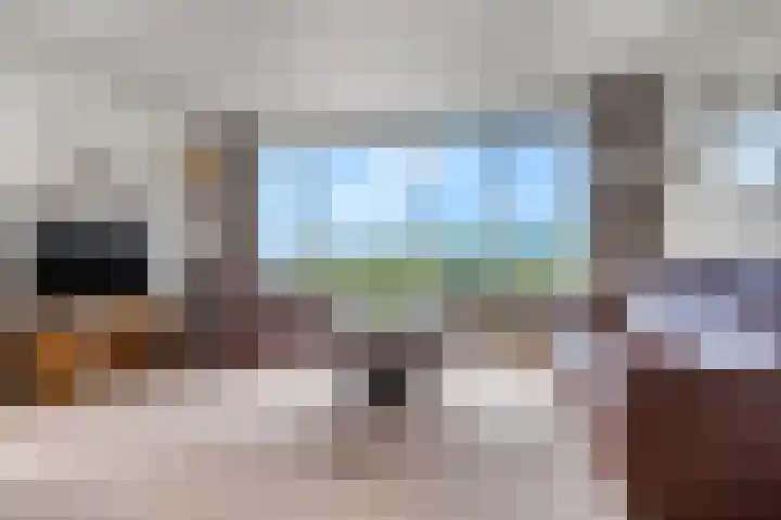 Rozenlaan 79 Rhenen thumbnail 7