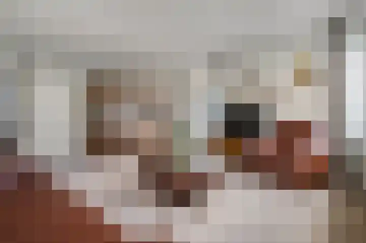 Rozenlaan 79 Rhenen thumbnail 8