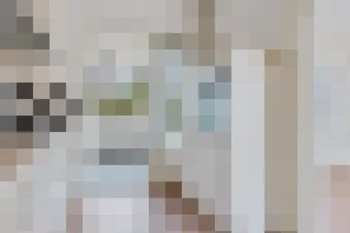 Rozenlaan 8 Nieuwe Pekela thumbnail 18