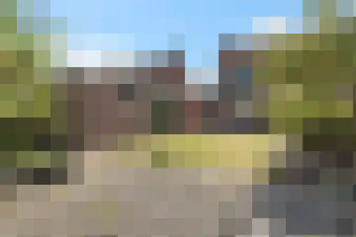 Rozenlaan 8 Nieuwe Pekela foto 2