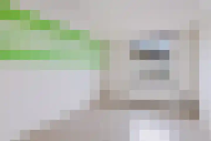 Rozenlaan 8 Nieuwe Pekela thumbnail 23