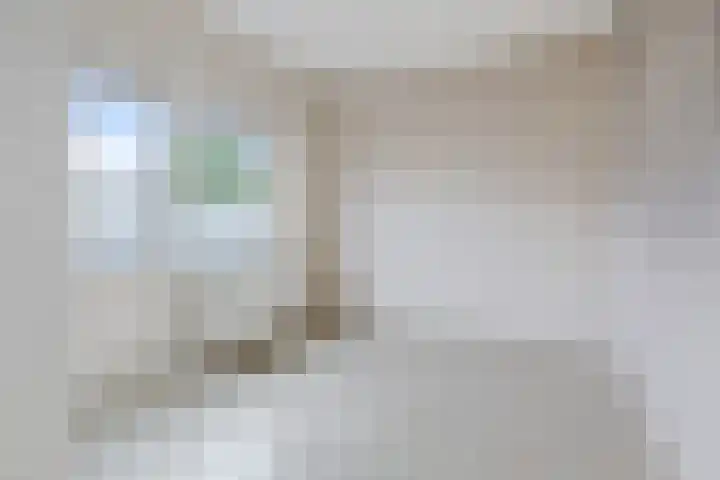 Rozenlaan 8 Nieuwe Pekela thumbnail 25