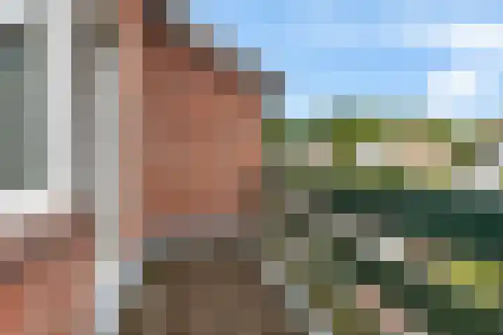 Rozenlaan 8 Nieuwe Pekela thumbnail 27