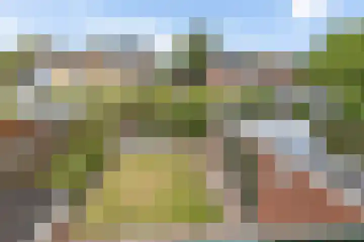 Rozenlaan 8 Nieuwe Pekela thumbnail 28