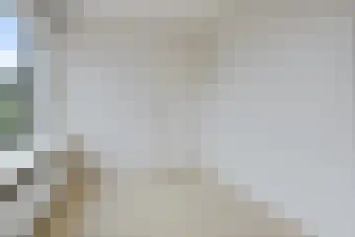 Rozenlaan 8 Nieuwe Pekela thumbnail 30
