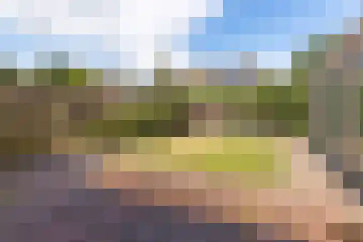 Rozenlaan 8 Nieuwe Pekela thumbnail 35