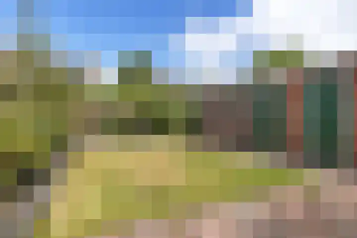 Rozenlaan 8 Nieuwe Pekela thumbnail 36