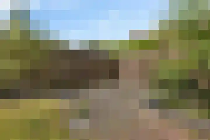 Rozenlaan 8 Nieuwe Pekela thumbnail 39