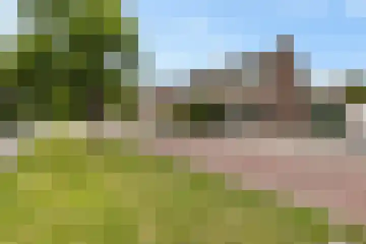 Rozenlaan 8 Nieuwe Pekela thumbnail 4