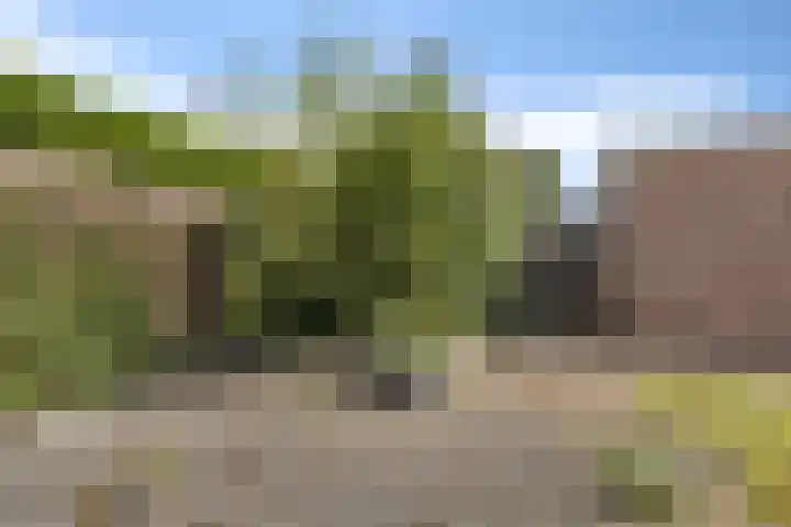 Rozenlaan 8 Nieuwe Pekela thumbnail 40