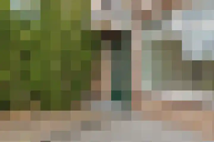 Rozenlaan 8 Nieuwe Pekela thumbnail 6