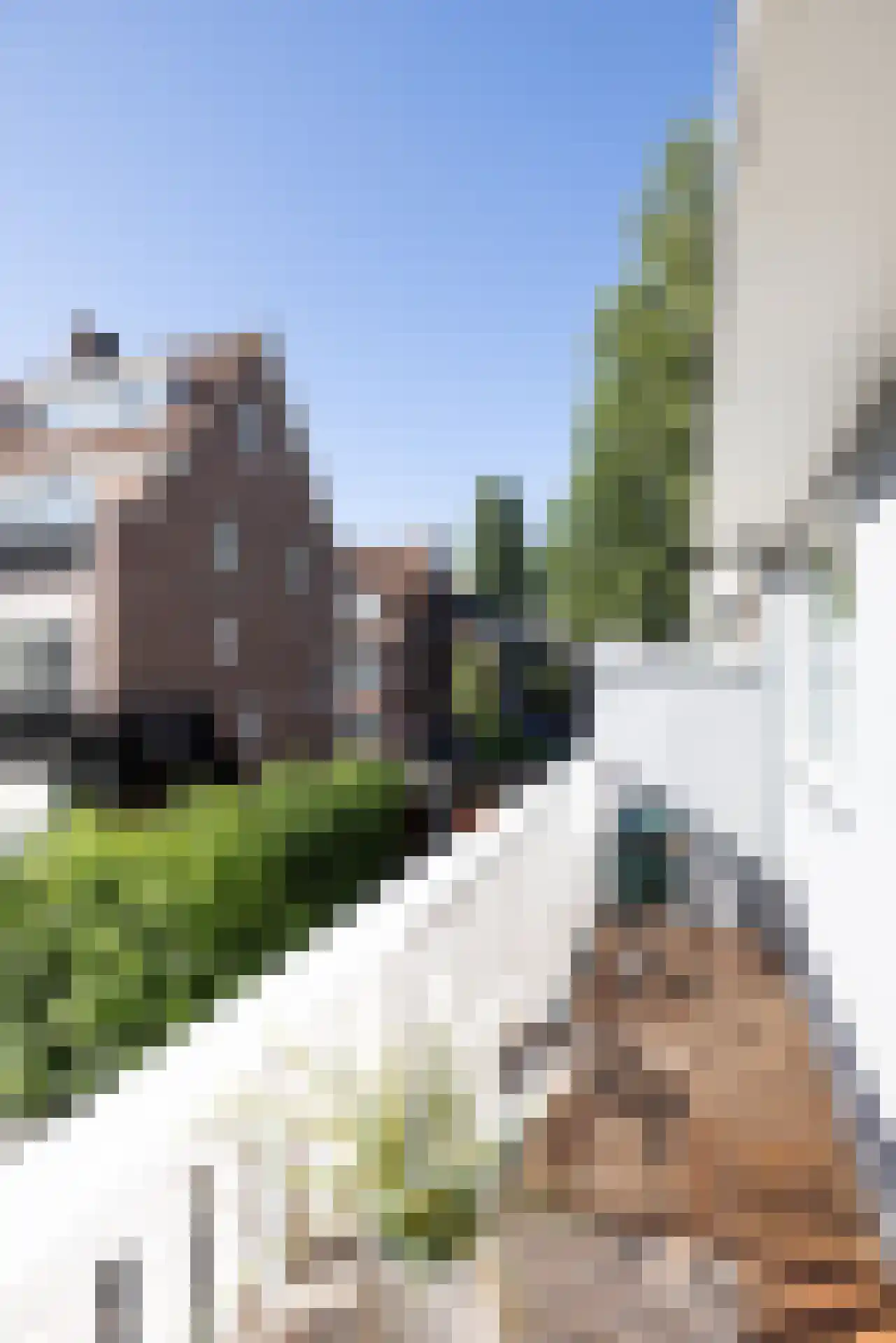 Rozenlaan 81 B Rotterdam thumbnail 20