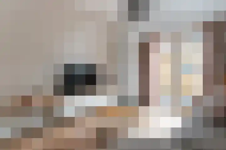 Rozenlaan 85 A Rotterdam thumbnail 14