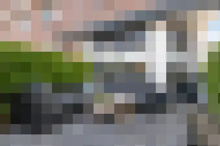 Rozenlaan 85 A Rotterdam thumbnail 35