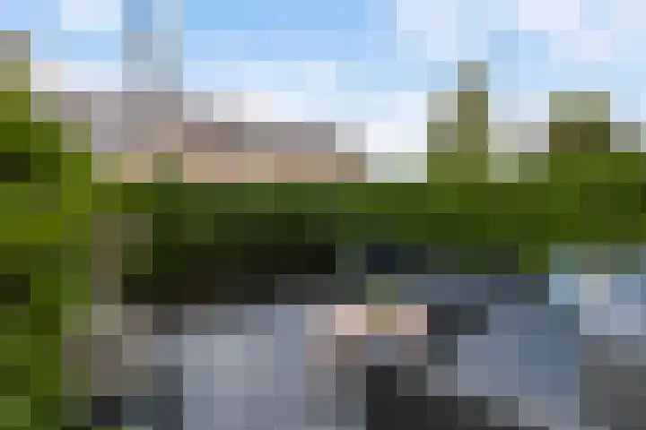 Rozenlaan 85 A Rotterdam thumbnail 36