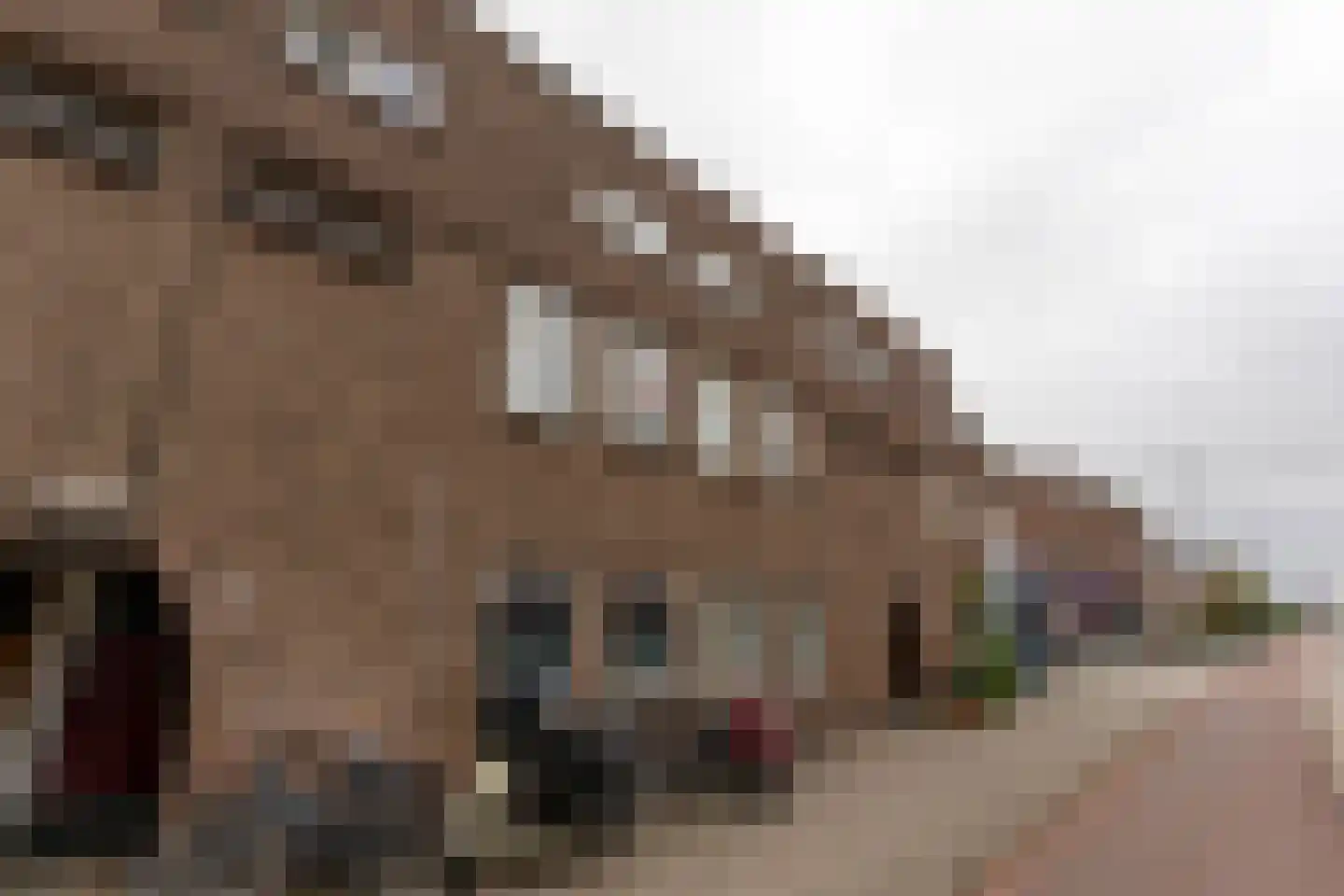 Rozenlaan 9 A Rotterdam foto 3