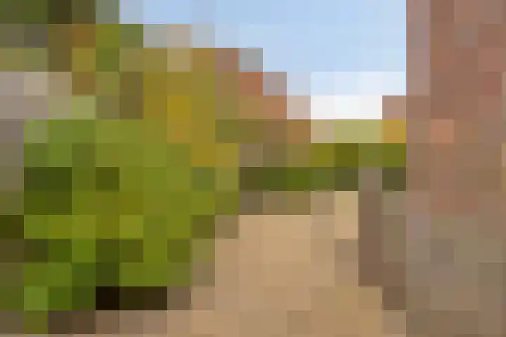 Rozenlaan 9 Heerjansdam thumbnail 23