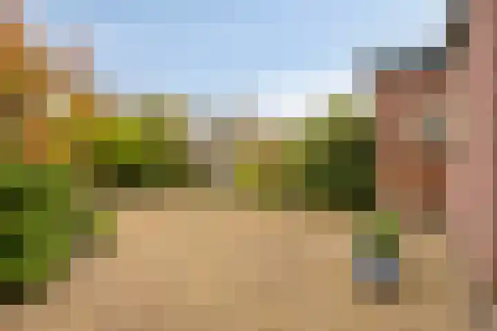 Rozenlaan 9 Heerjansdam thumbnail 24