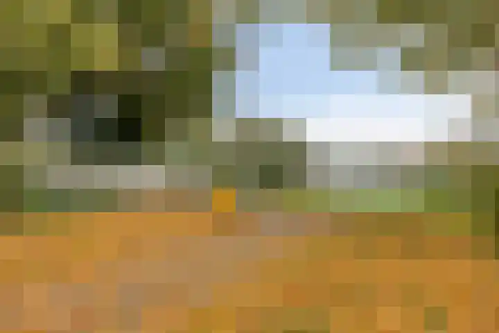 Rozenlaan 9 Heerjansdam thumbnail 31