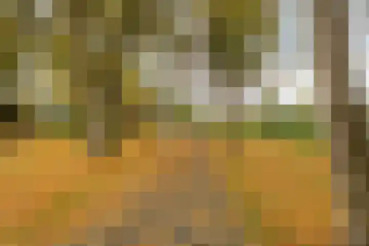 Rozenlaan 9 Heerjansdam thumbnail 32