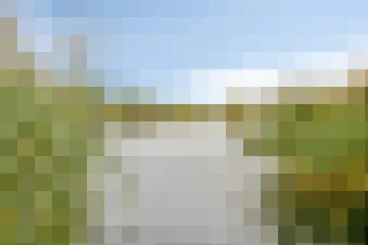 Rozenlaan 9 Heerjansdam thumbnail 33