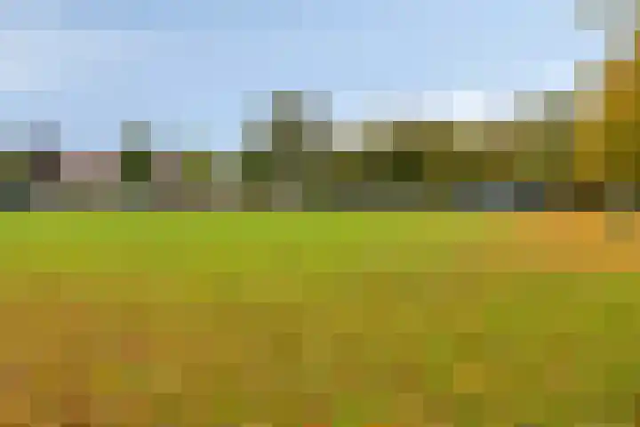 Rozenlaan 9 Heerjansdam thumbnail 34