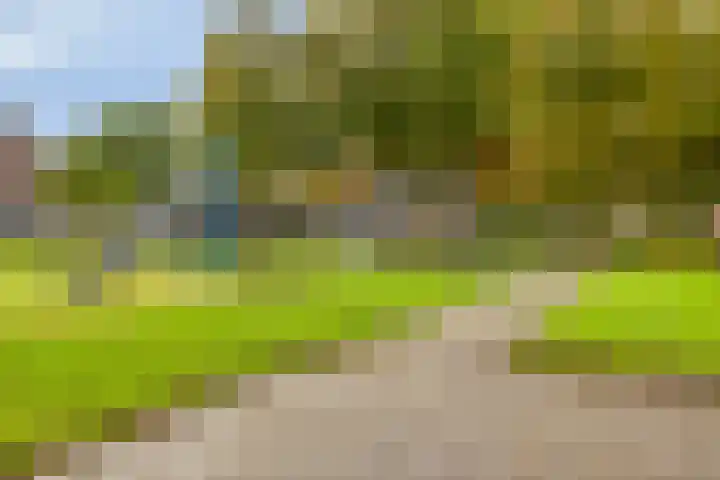 Rozenlaan 9 Heerjansdam thumbnail 35