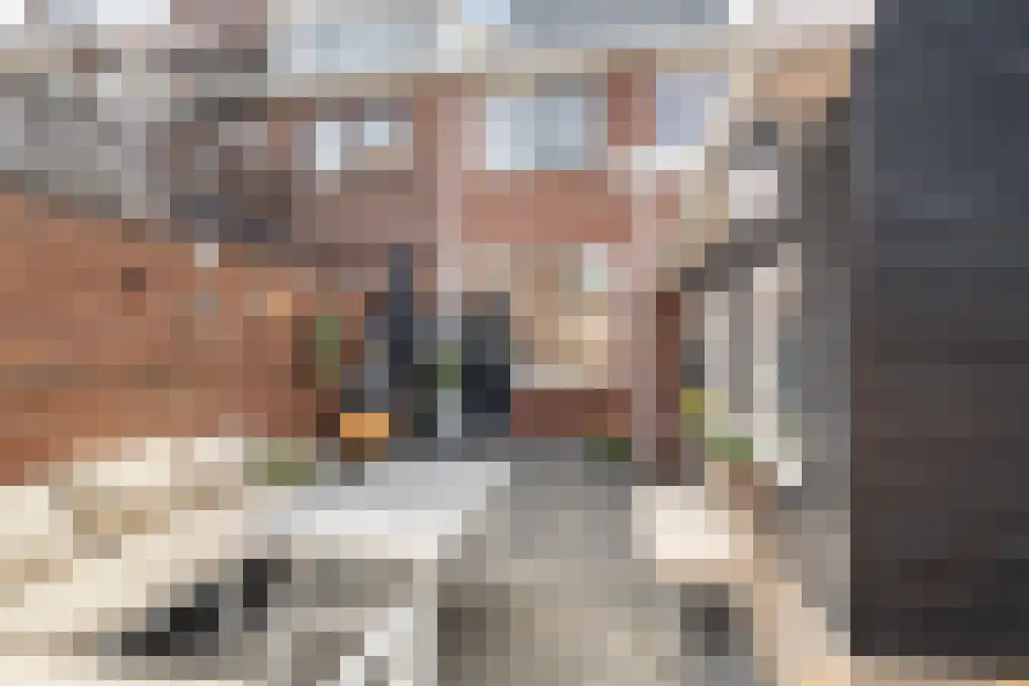 Rozenlaan 93 Vlaardingen thumbnail 18