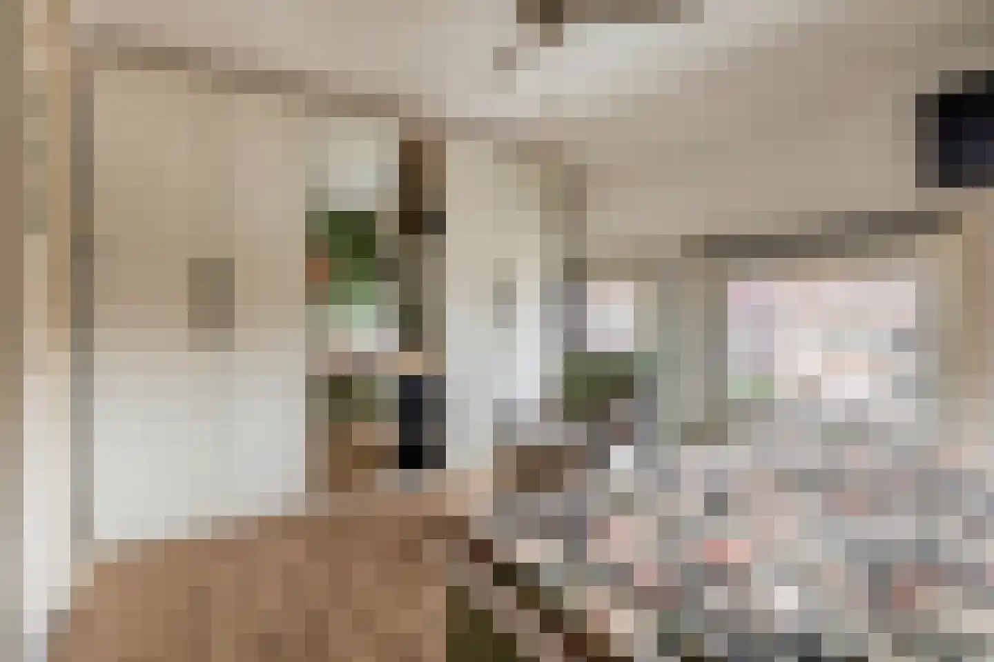 Rozenlaan 95 B Rotterdam thumbnail 19