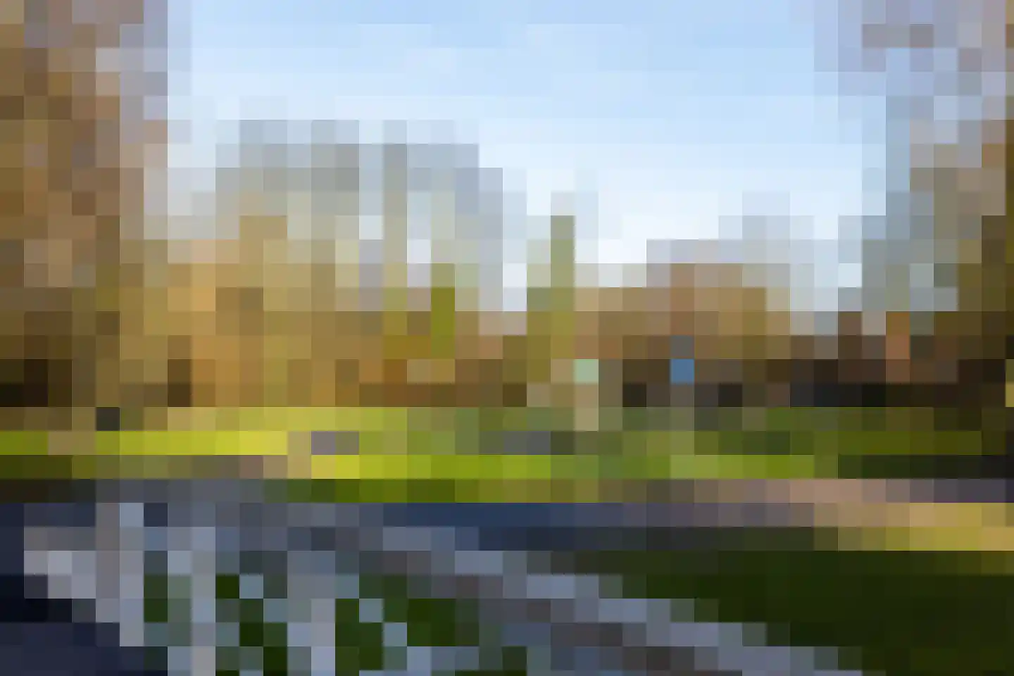 Rozenlaan 95 B Rotterdam thumbnail 44
