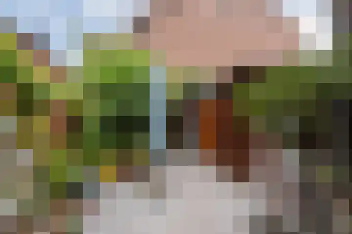 Rozenlaan 95 Vlaardingen thumbnail 14