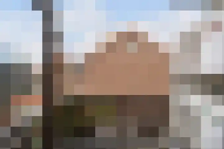 Rozenlaan 95 Vlaardingen thumbnail 25