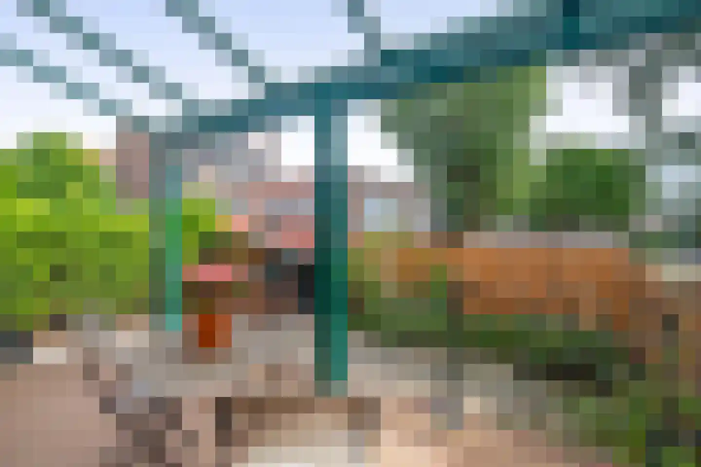 Rozenlaan 97 A Rotterdam thumbnail 26