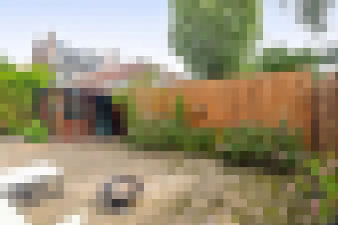 Rozenlaan 97 A Rotterdam thumbnail 30