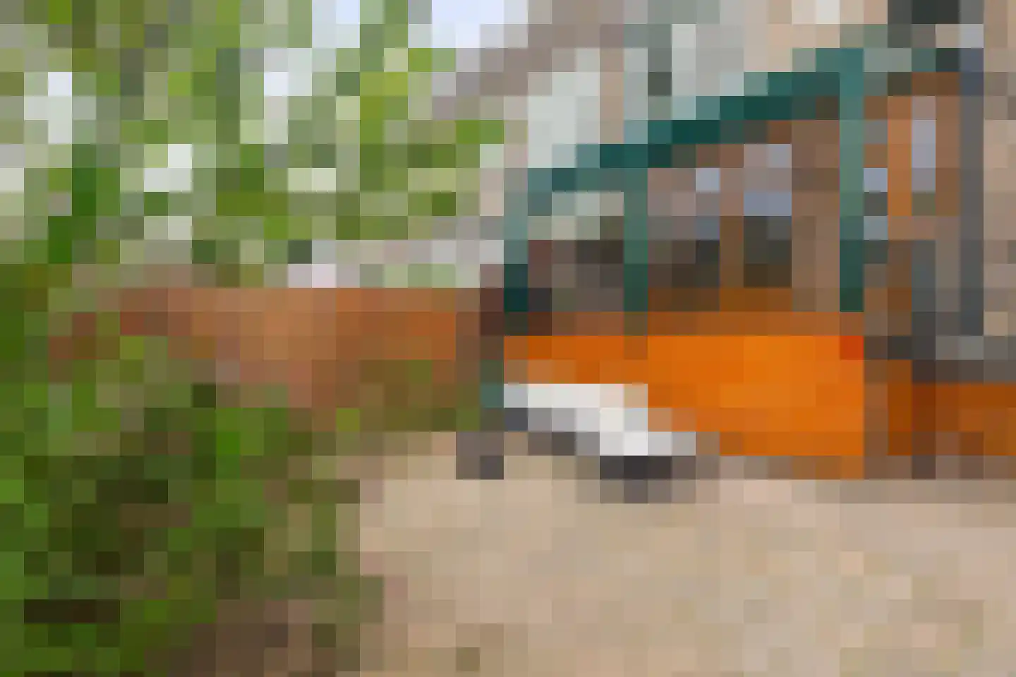 Rozenlaan 97 A Rotterdam thumbnail 32