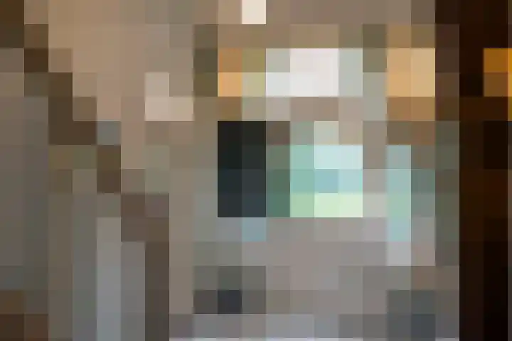 Rozenlaantje 14 Laren thumbnail 11