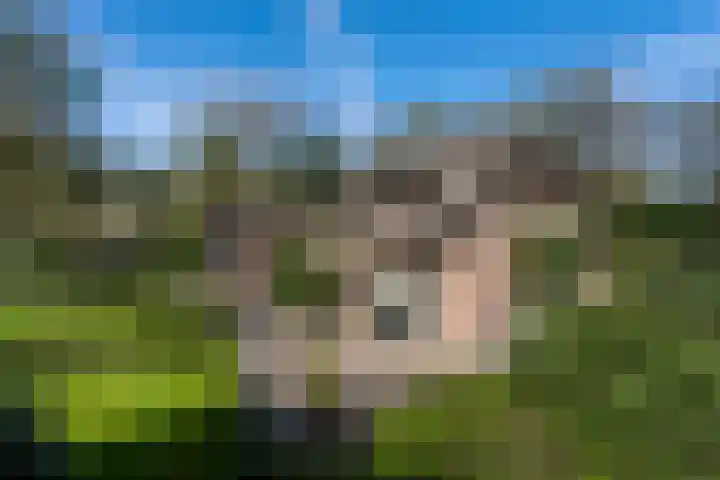 Rozenlaantje 14 Laren thumbnail 4