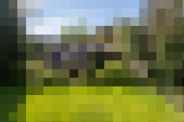 Rozenlaantje 14 Laren thumbnail 45