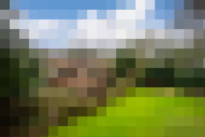Rozenlaantje 14 Laren thumbnail 46