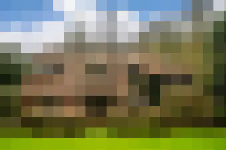 Rozenlaantje 14 Laren thumbnail 47