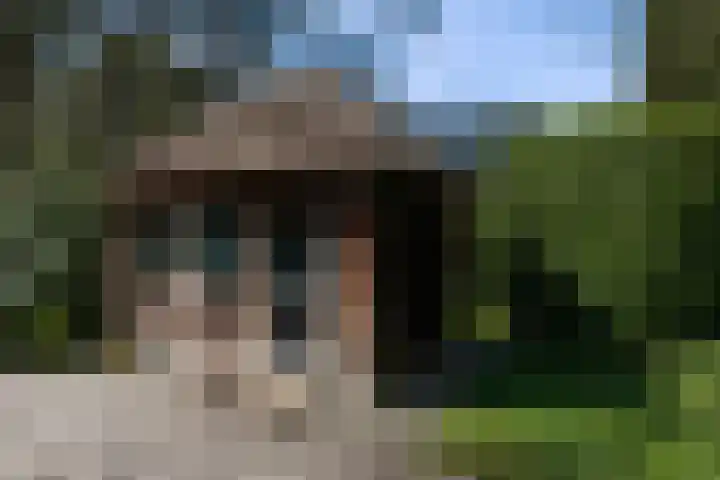 Rozenlaantje 14 Laren thumbnail 48