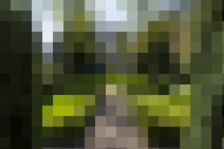 Rozenlaantje 14 Laren thumbnail 5
